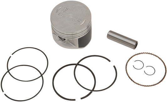 WSM Piston Kit 50-222K