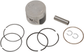 WSM Piston Kit 50-222-07K