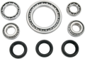 MOOSE RACING Differential Bearing/Seal Kit - Arctic Cat/Suzuki - Front 25-2022