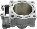 CYLINDER WORKS Cylinder - Standard 10001
