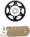 VORTEX Chain Kit - Gold CKG6456