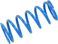 EPI Primary Spring SDPS-1