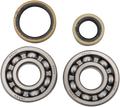 Hot Rods Crank Bearings K233