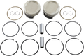WISECO Piston Kit Tracker Series K0212P1