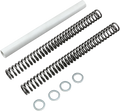 RACE TECH Fork Springs - 1.0 kg/mm FRSP S3234100