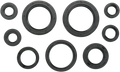 MOOSE RACING Motor Seals 822237MSE