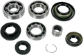 MOOSE RACING Differential Bearing/Seal Kit - Rincon - Rear 25-2047