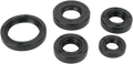 MOOSE RACING Motor Seals 822242MSE