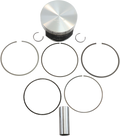 WISECO Piston Kit - Grizzly - 10.25:1 High-Performance 40104M09200