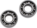 Hot Rods Counter Balancer Bearing Kit - Polaris HR00011