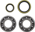 MOOSE RACING Crank Bearing and seal kit - Beta 24-1129