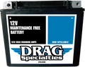 DRAG SPECIALTIES AGM Battery - YTX20H FT CTX20H FA FT
