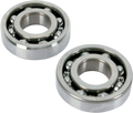 Hot Rods Crank Bearings K050