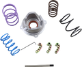 EPI Pro Clutch Kit PRO501
