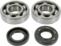 Hot Rods Crank Bearings K045
