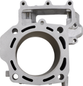 CYLINDER WORKS Cylinder - Standard - Rear CW30014