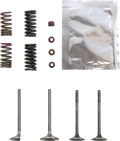 WISECO Valve Kit SVKB1336