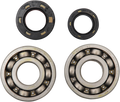 Hot Rods Crank Bearings K001