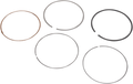 WSM Ring Set 51-256-07