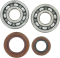 Hot Rods Crank Bearings K064