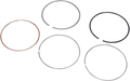 WSM Ring Set 51-256-04