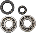 Hot Rods Crank Bearings K003