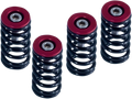 BARNETT Clutch Springs 519-25-06098