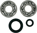 Hot Rods Crank Bearings K234