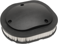 DRAG SPECIALTIES Air Filter - Indian E14-0999