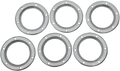 SUPERTRAPP 4" Stainless Discs - 6 Pack 404-6506