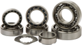 Hot Rods Transmission Bearings TBK0107