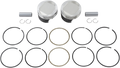 WISECO Piston Kit Tracker Series K0213P3