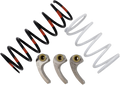 EPI Mud Clutch Kit - Polaris WE437235
