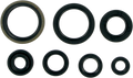 MOOSE RACING Motor Seals 822124MSE