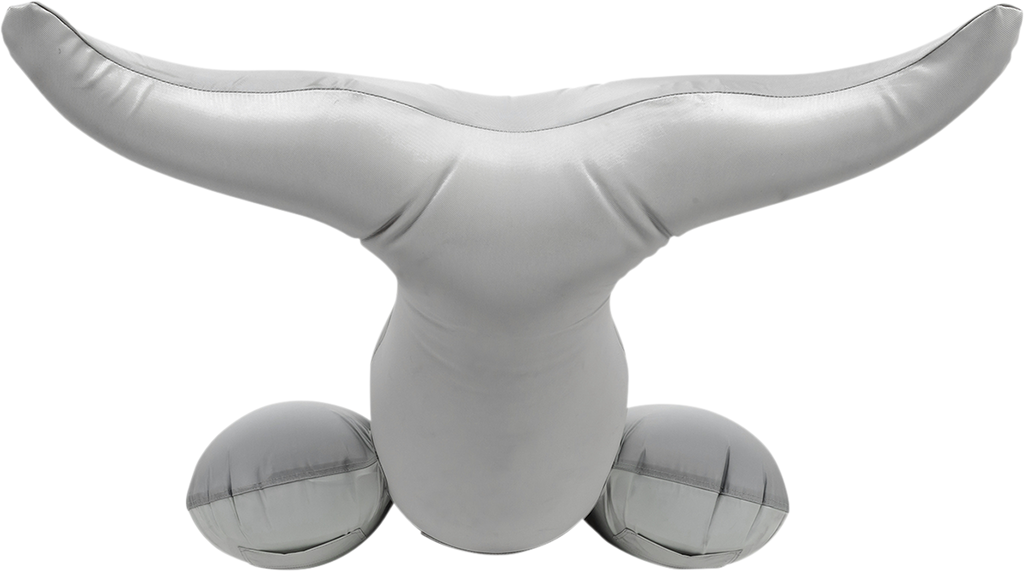 AIRHEAD SPORTS GROUP Dolphin Riding Tube - Towable AHHD-3056