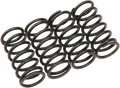 BARNETT Clutch Spring Kit 501-38-04132