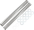 RACE TECH Fork Springs - 0.46 kg/mm FRSP 434646