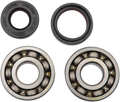 Hot Rods Crank Bearings K235