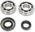 Hot Rods Crank Bearings K089