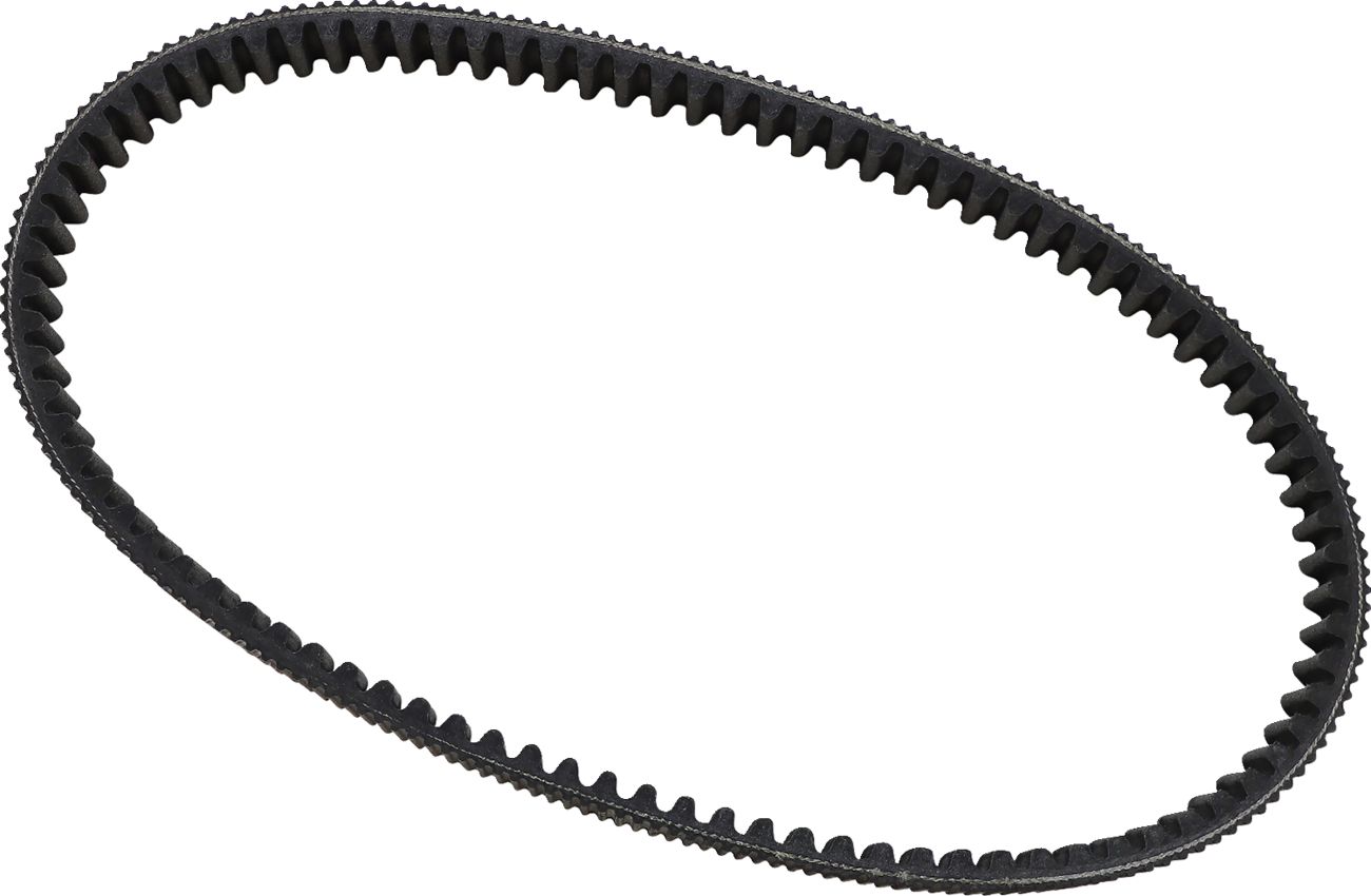 EPI Drive Belt WE262203