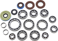 EPI Differential Bearing/Seal Kit - Rear WE290137