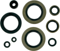 MOOSE RACING Motor Seals 822104MSE
