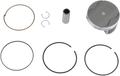 WSM Piston Kit 50-254-07K