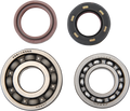 Hot Rods Crank Bearings K017
