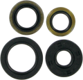 MOOSE RACING Motor Seals 822216MSE