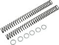 RACE TECH Fork Springs - 0.46 kg/mm FRSP 435146