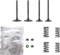 WISECO Valve Kit SVKB2440