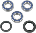 MOOSE RACING Wheel Bearing Kit - Rear 25-1202