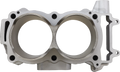 CYLINDER WORKS Cylinder Kit - Standard Bore 60003-K02