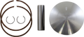 WSM Piston Assembly 50-520-69